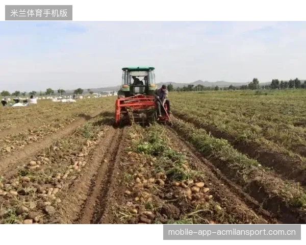 青训输出带来的地方经济链条解析